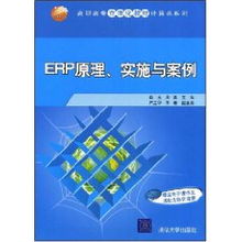 ERP系統原理、實施與網絡技術應用——以肖玉案例為視角