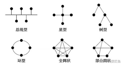 計算機(jī)網(wǎng)絡(luò)技術(shù)概覽 從基礎(chǔ)概念到現(xiàn)代應(yīng)用
